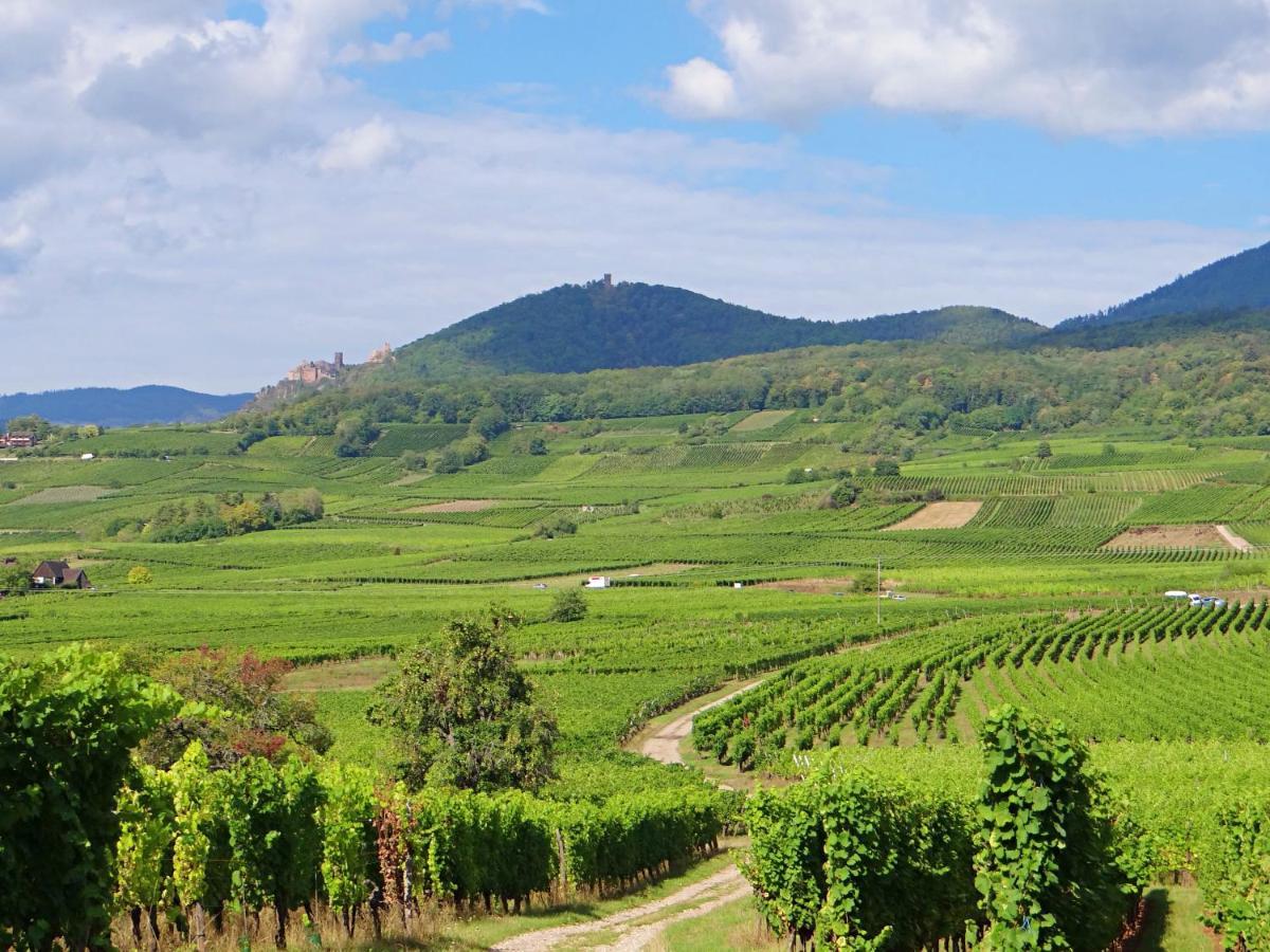 Апартаменти Au Coeur Des Vignes Берґайм Екстер'єр фото