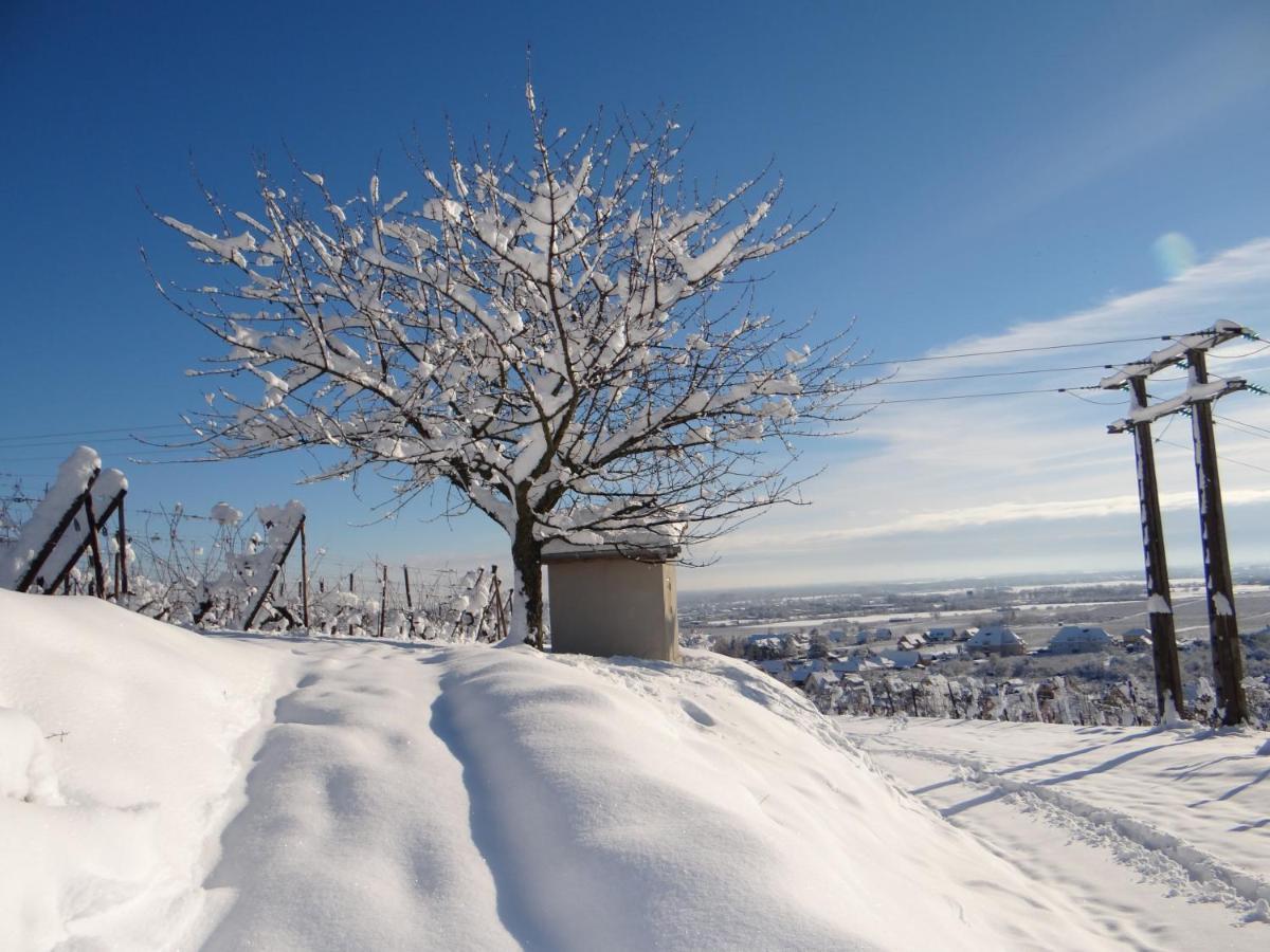 Апартаменти Au Coeur Des Vignes Берґайм Екстер'єр фото