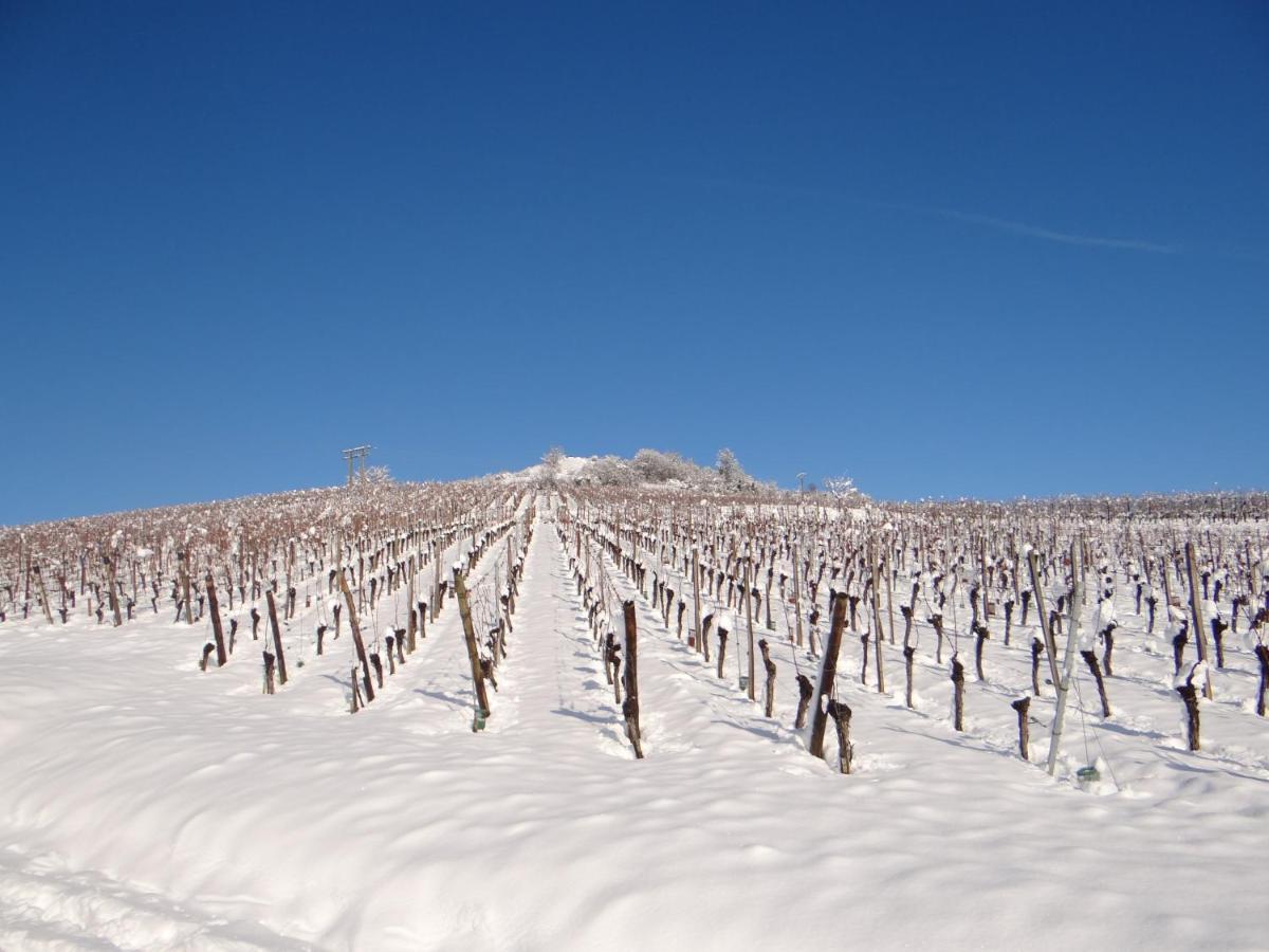 Апартаменти Au Coeur Des Vignes Берґайм Екстер'єр фото