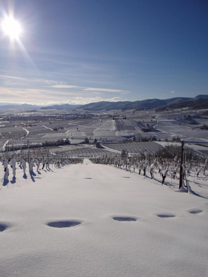 Апартаменти Au Coeur Des Vignes Берґайм Екстер'єр фото
