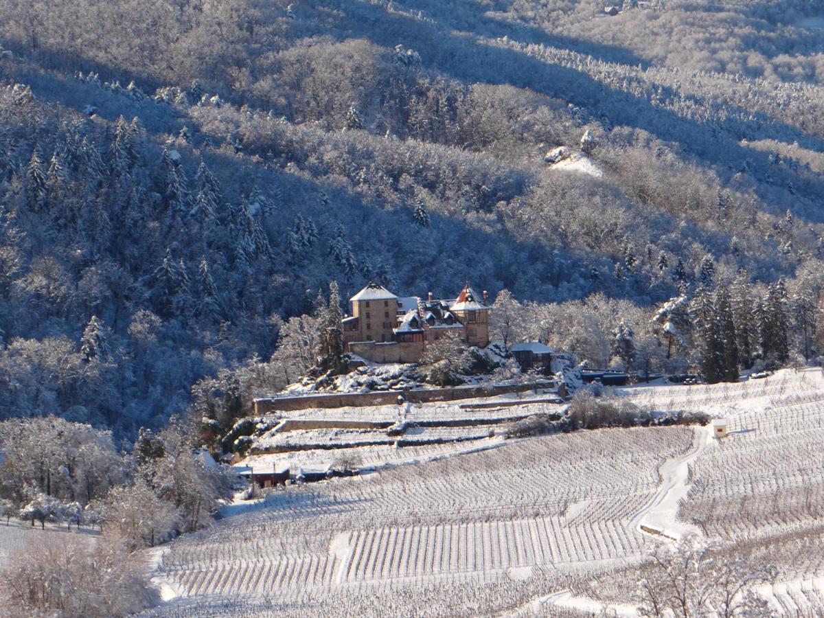 Апартаменти Au Coeur Des Vignes Берґайм Екстер'єр фото