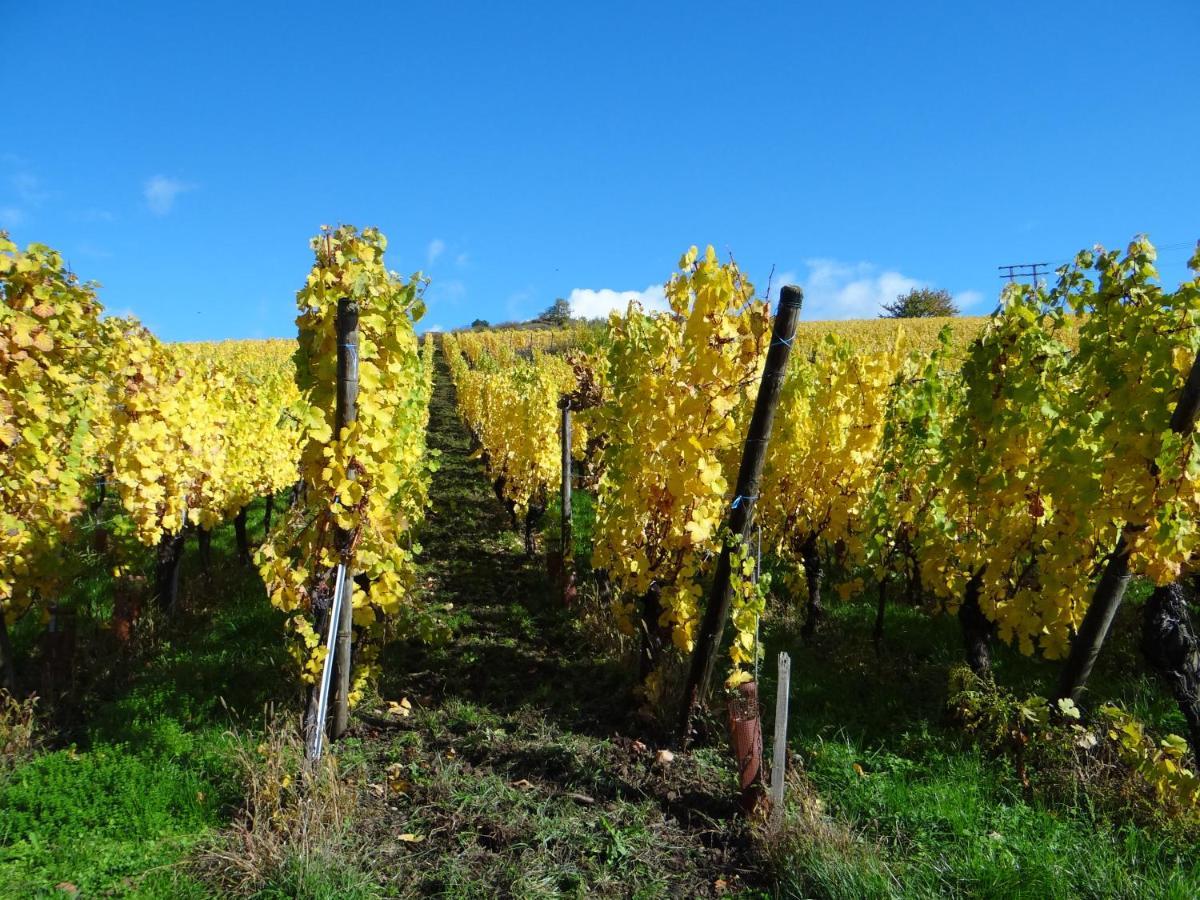 Апартаменти Au Coeur Des Vignes Берґайм Екстер'єр фото