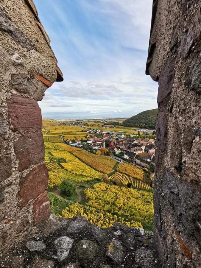 Апартаменти Au Coeur Des Vignes Берґайм Екстер'єр фото